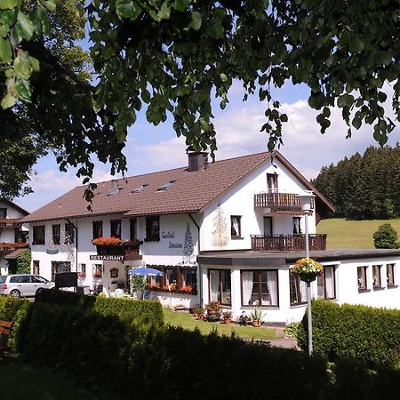 Gasthof Schwarzwaldtanne Шёнвальд Экстерьер фото