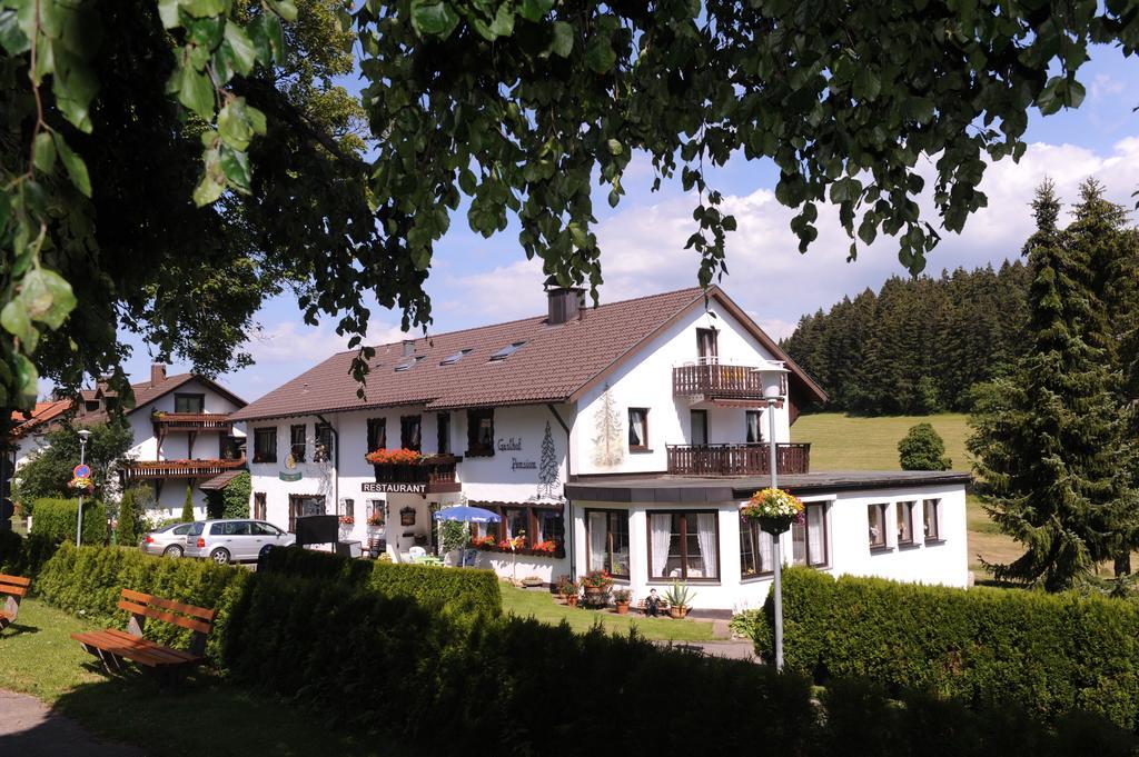 Gasthof Schwarzwaldtanne Шёнвальд Экстерьер фото