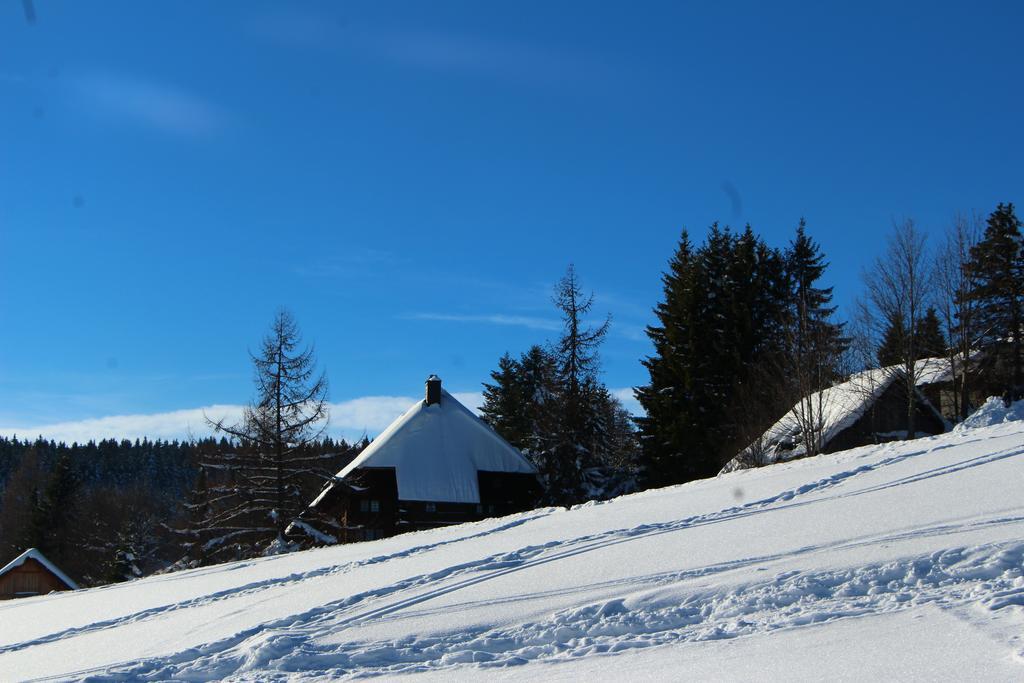 Gasthof Schwarzwaldtanne Шёнвальд Экстерьер фото