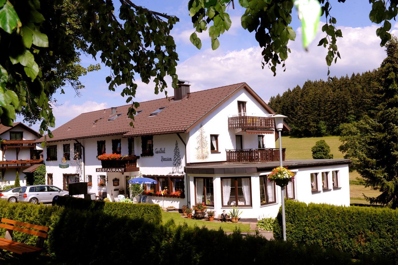 Gasthof Schwarzwaldtanne Шёнвальд Экстерьер фото